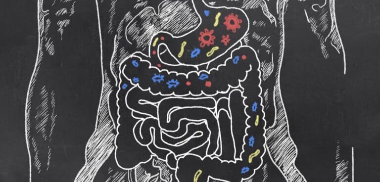 Weight Loss and the Role of Gut Bacteria: A Holistic Approach to Shedding Pounds