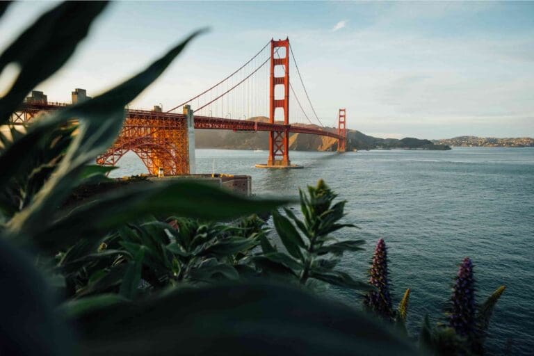 Exploring San Francisco’s Best Parks for Outdoor Workouts