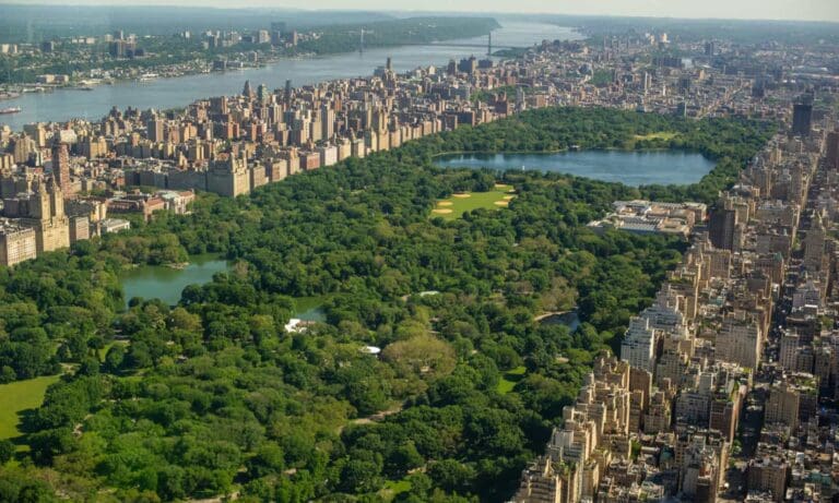 The Ultimate Guide to Outdoor Workouts in Central Park