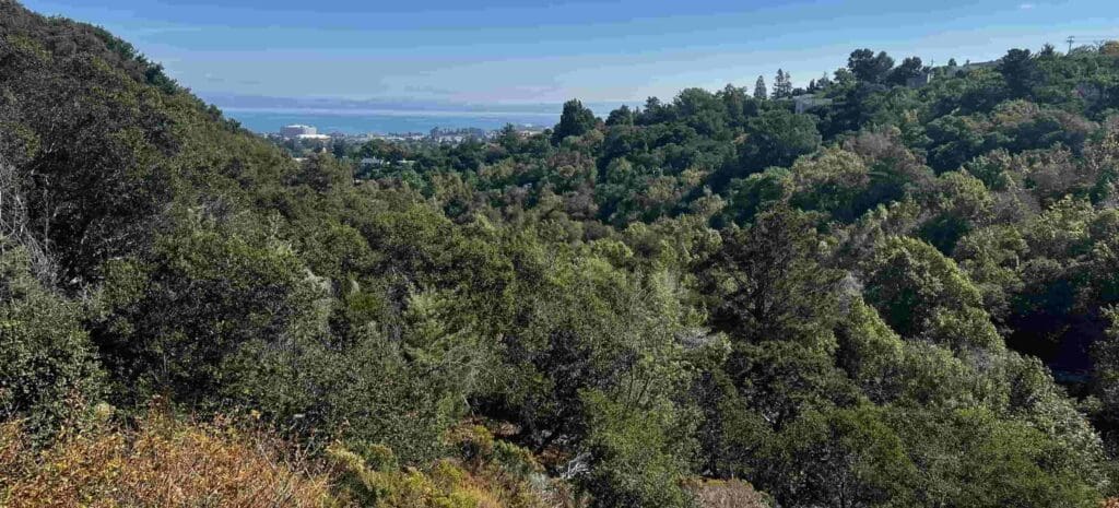 Hiking through Burlingame you guide from Holly Roser Fitness