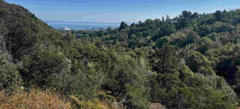 Top 5 Scenic Hiking Trails in Burlingame for All Fitness Levels