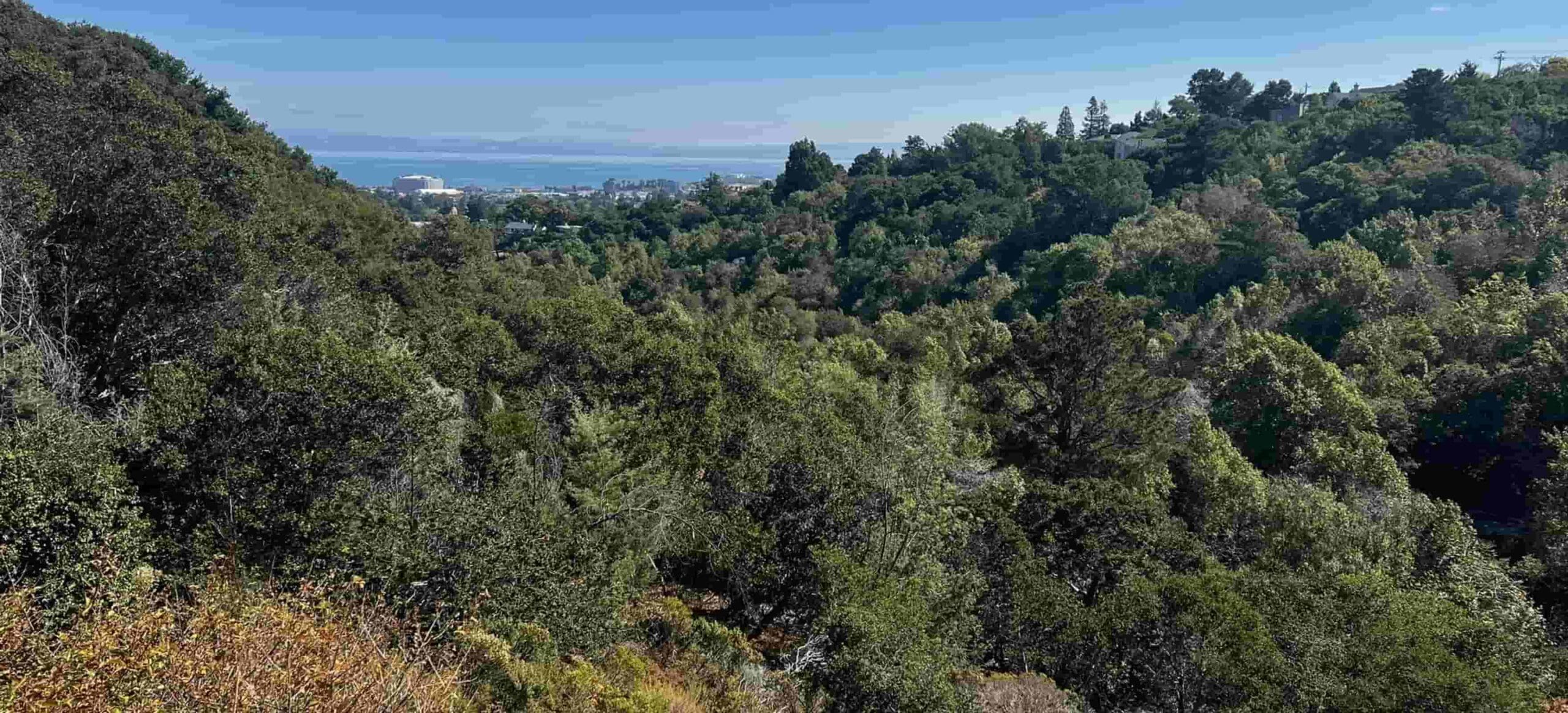 Hiking through Burlingame you guide from Holly Roser Fitness
